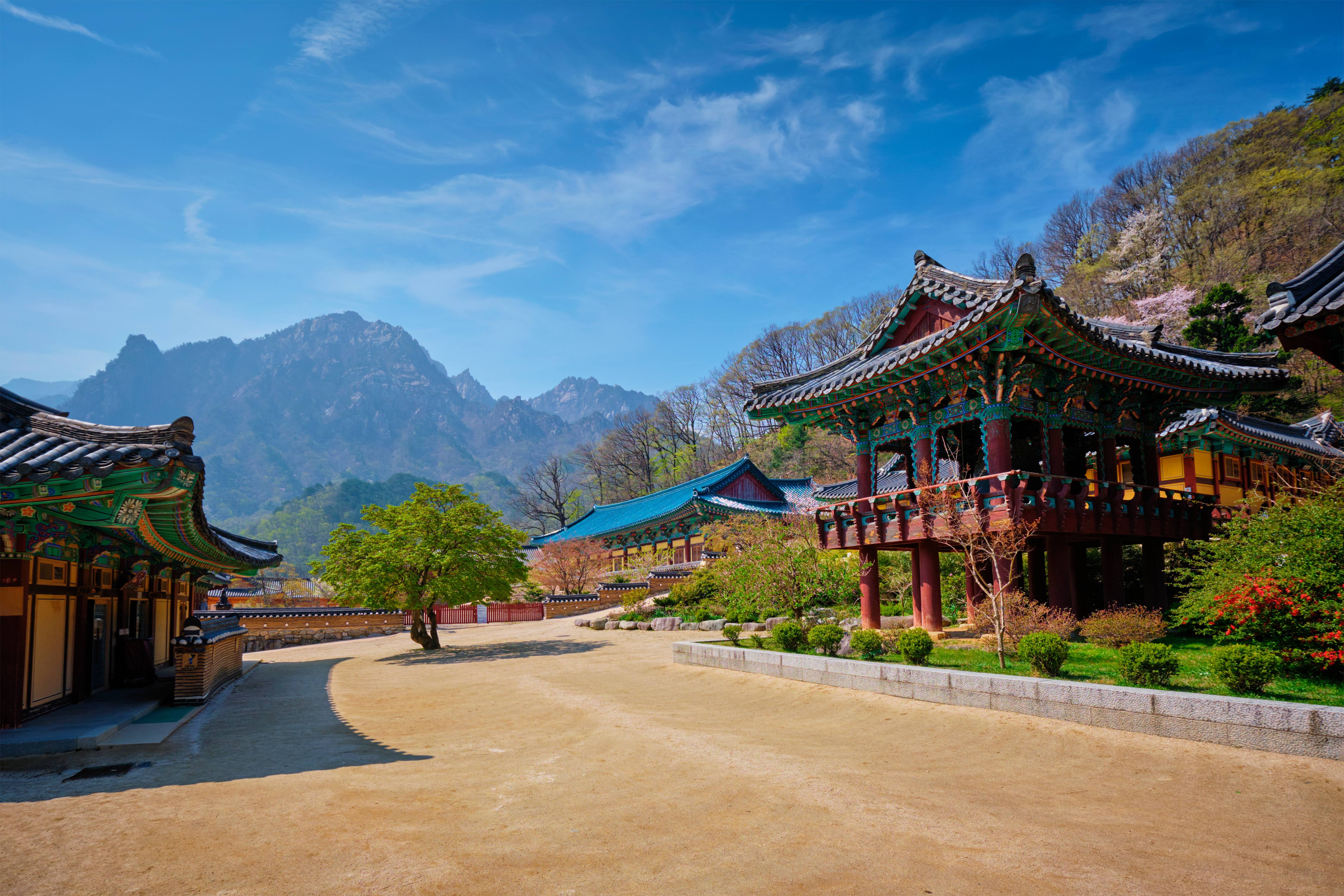 Favorite Korea Busan Cherry Blossom + Lotte World Adventure