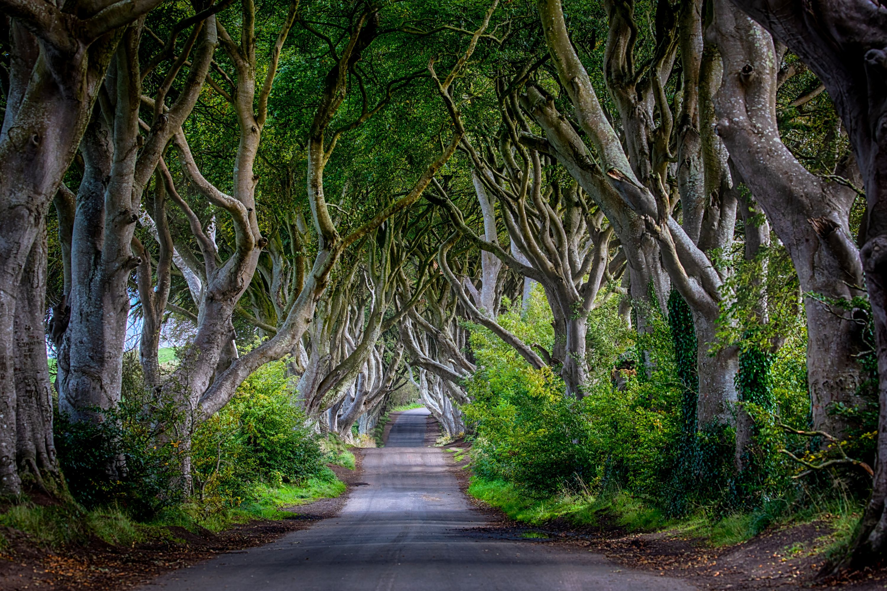 Favorite England Scotland Ireland + Stonehenge & Harry Potter Studio