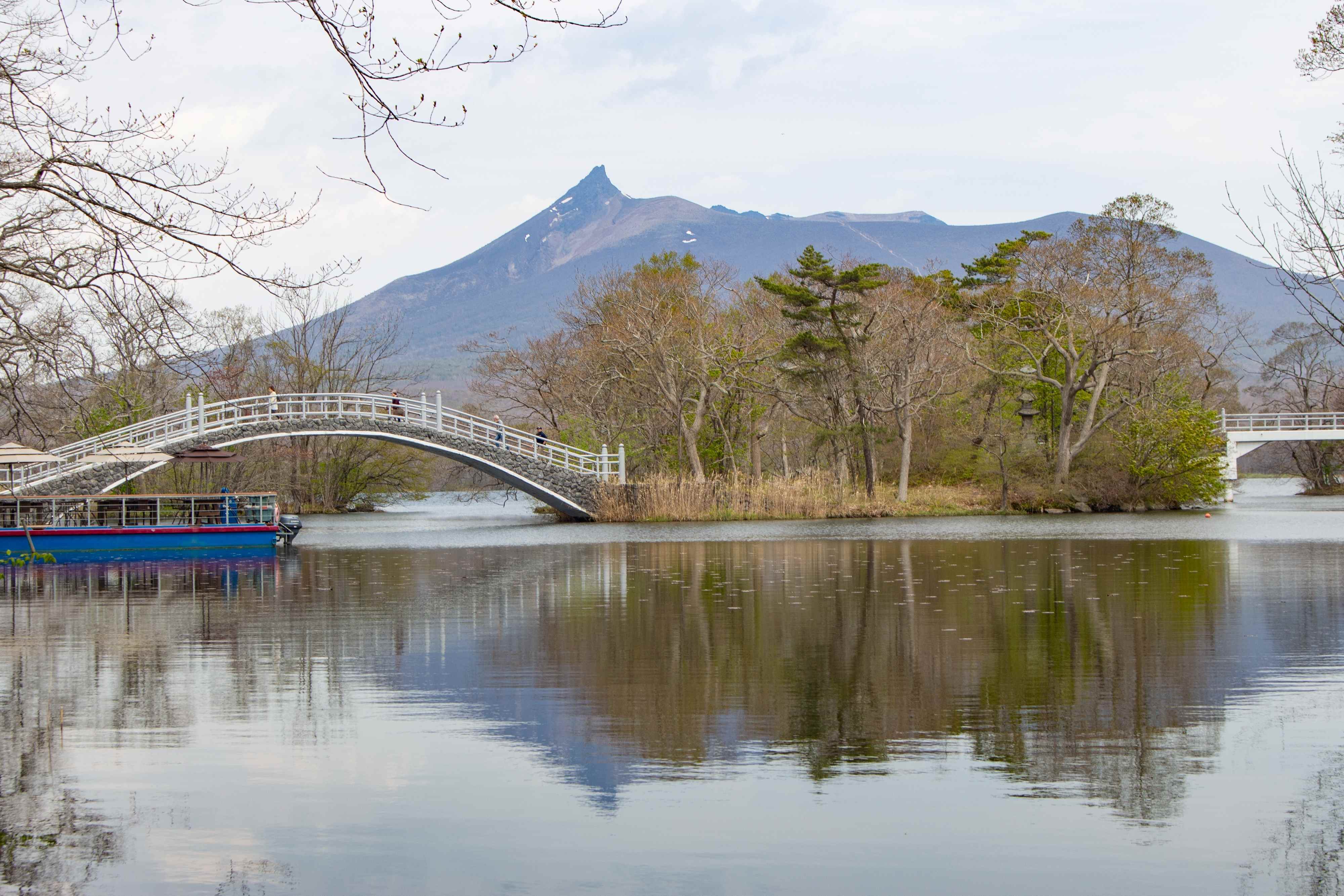Amazing Winter Japan Hokkaido + Snow Mobile Experience & Tokyo City