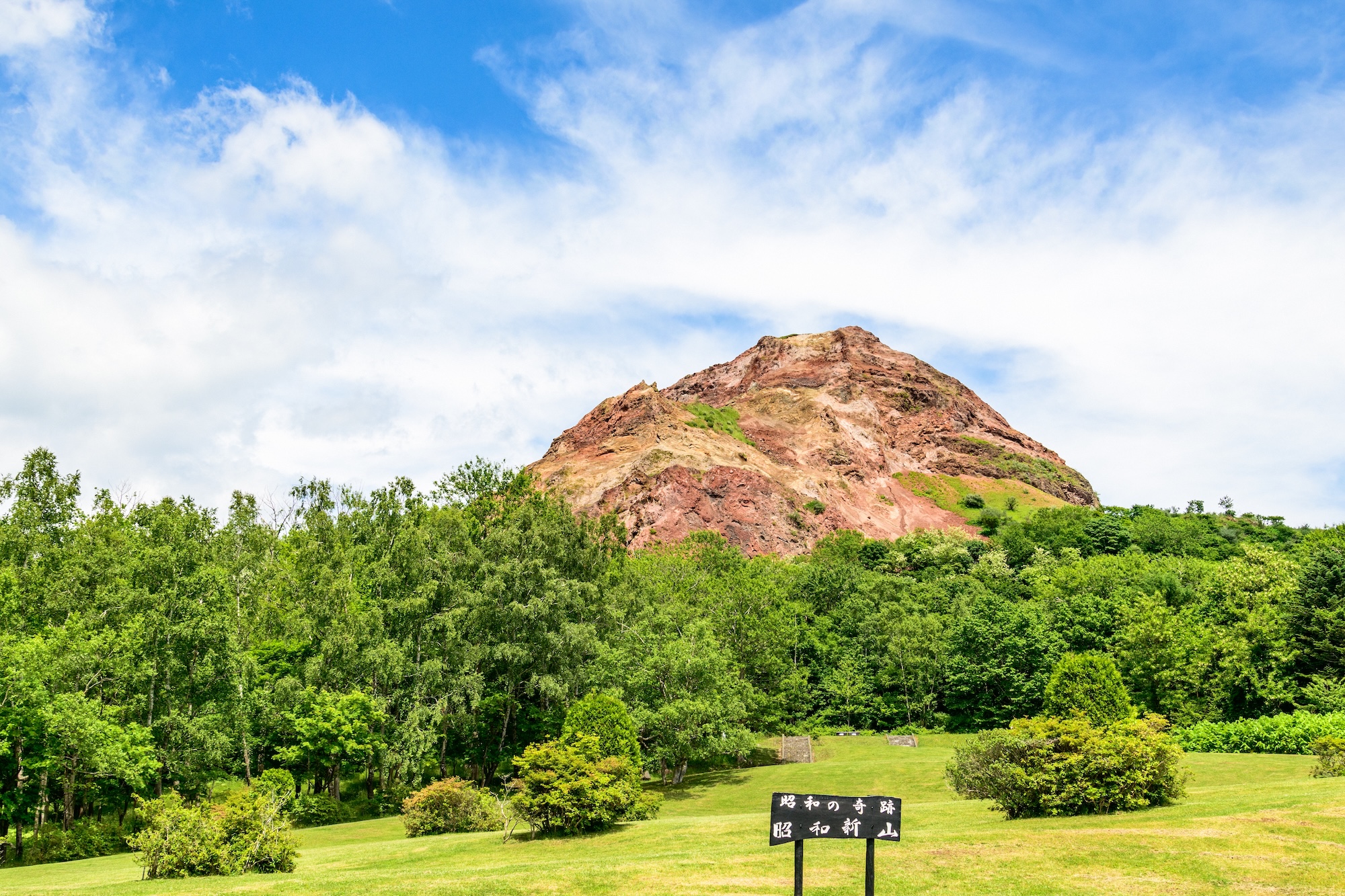 Amazing Japan Hokkaido Autumn Festival + Asahiyama Zoo & Mitsui Outlet Park