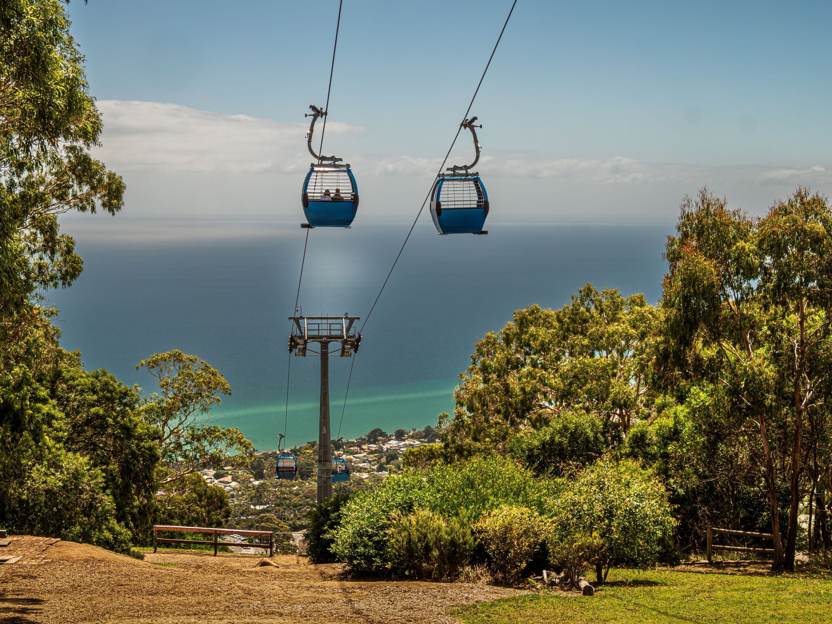 Favorite Australia Dreamland Phillip Island + Aquaduck & Lone Pine Koala Sanctuary