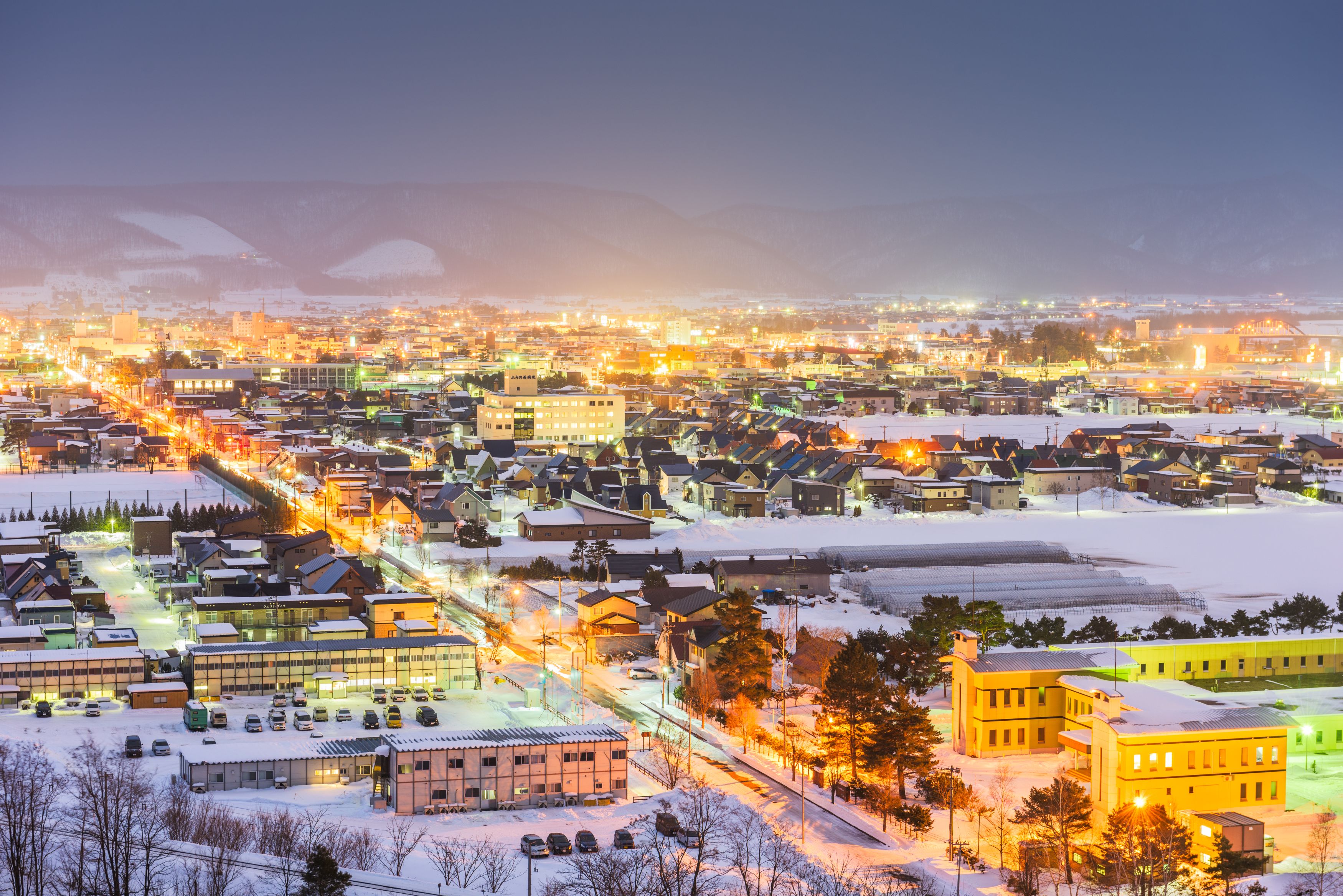 Amazing Japan Hokkaido Ice Breaker Cruise + Sapporo Snow Festival & Snow Mobile Experience