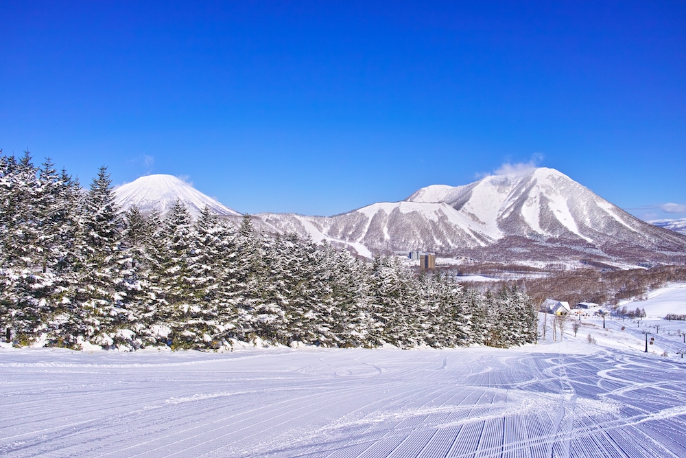Amazing Winter Japan Hokkaido + Snow Mobile Experience & Tokyo City