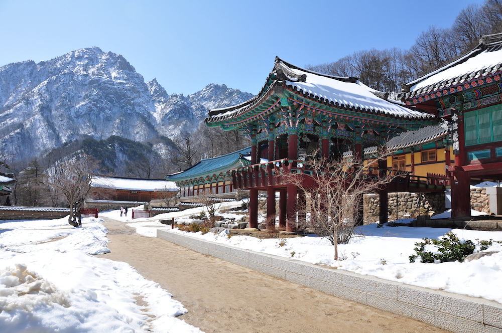 Super Sale Korea Winter Light Festival + Everland & Ski Experience