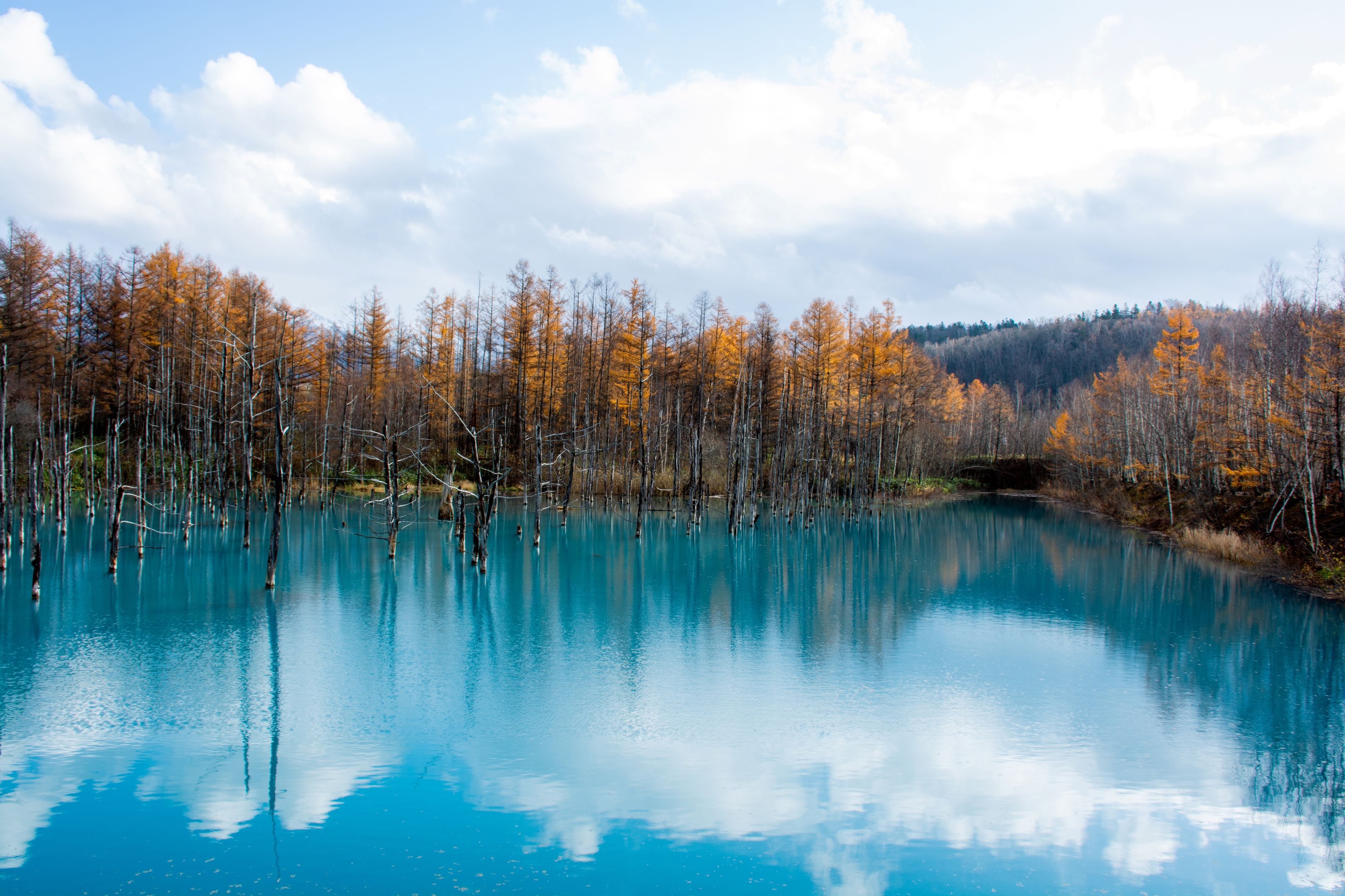 Super Sale Winter Japan Hokkaido + Furano Ski Resort & Mitsui Outlet Park