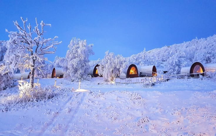 Favorite Rovaniemi Sky View Glass Igloo + Tromso Northern Lights & King Crab Safari