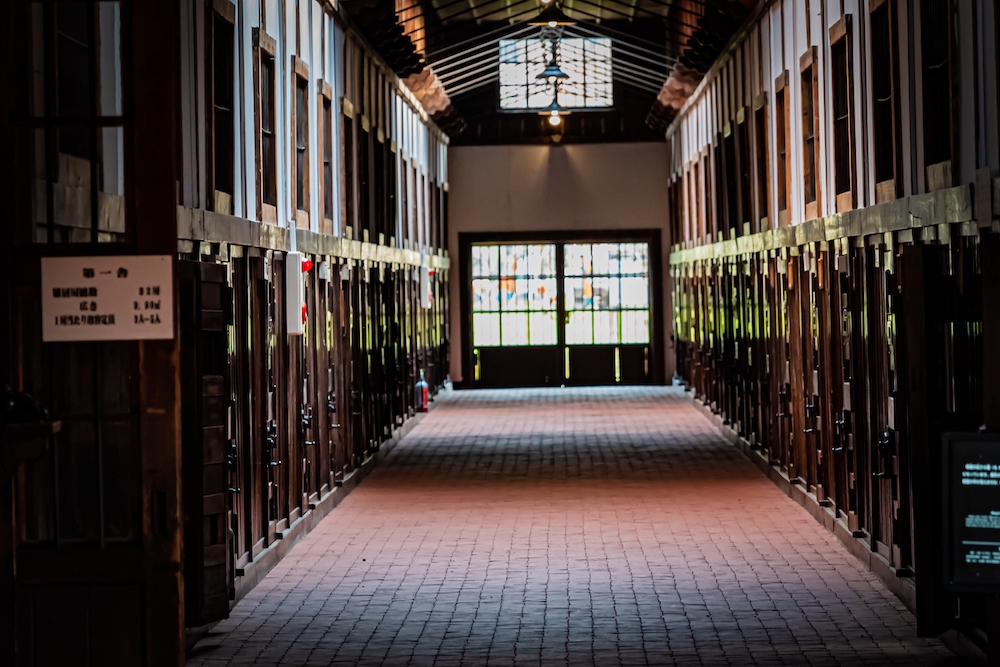 Amazing Winter Eastern Hokkaido + Asahiyama Zoo & Snow Mobile Experience