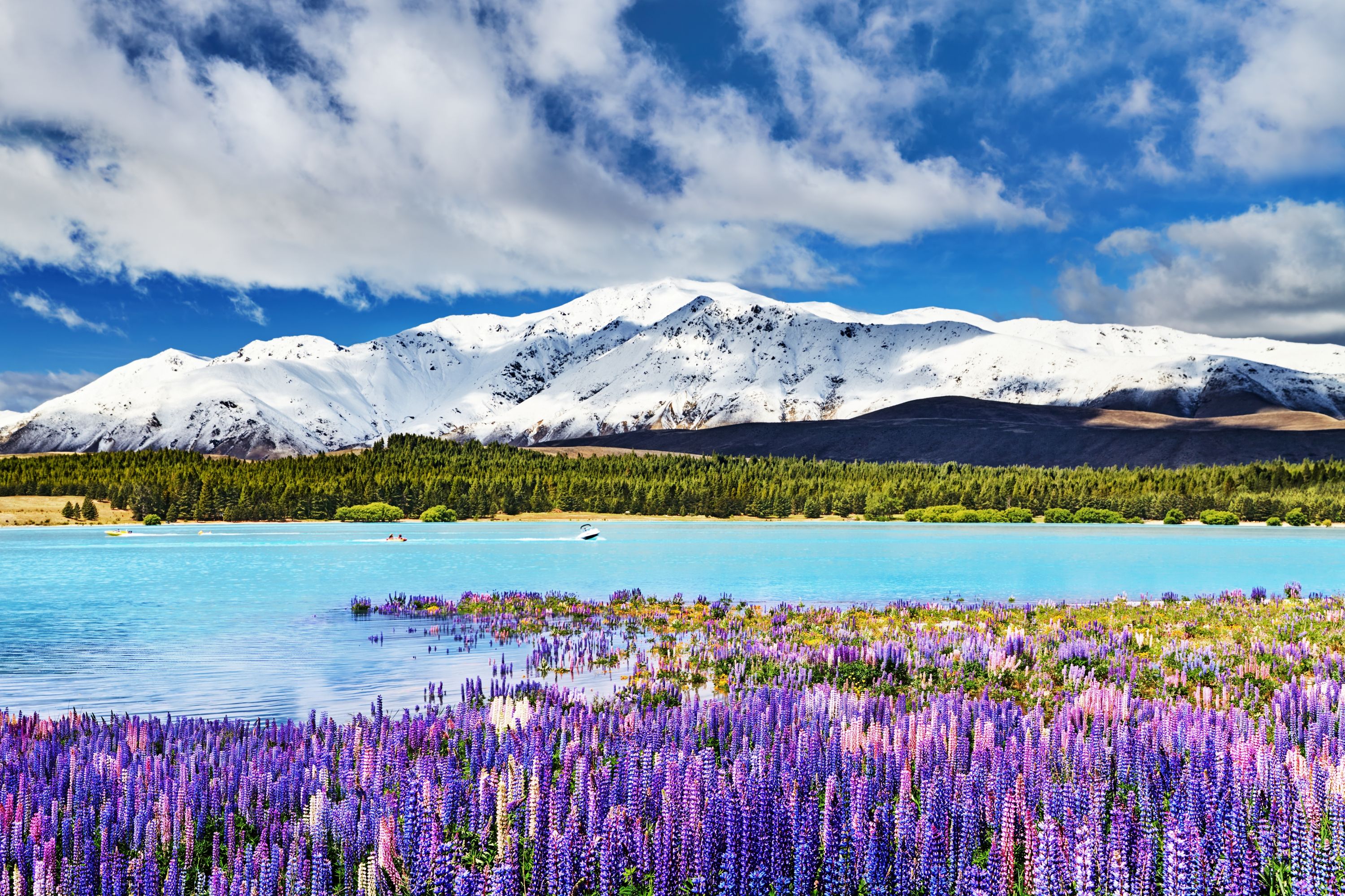 Amazing New Zealand + Glacier Explorer & Nomad Safaris (The Lord Of The Rings)
