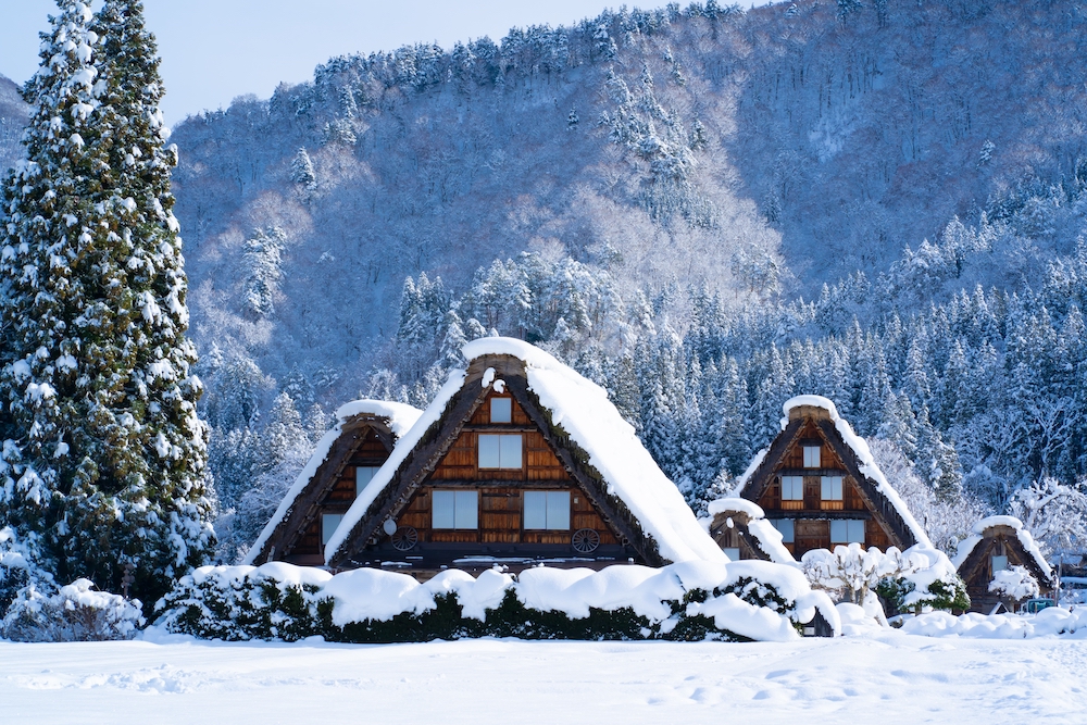 Amazing Winter Japan Shirakawago + Yokohama & Fujiten Snow Park