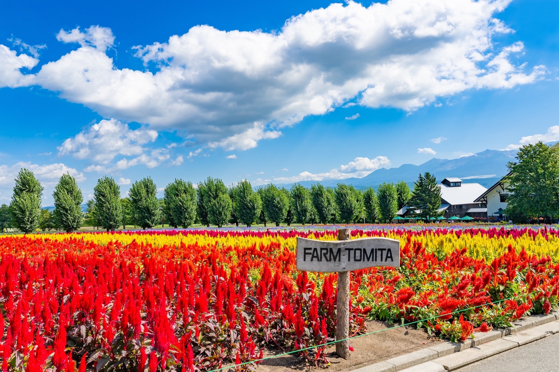 Favorite Japan Hokkaido + Flower Festivals & Mitsui Outlet Park