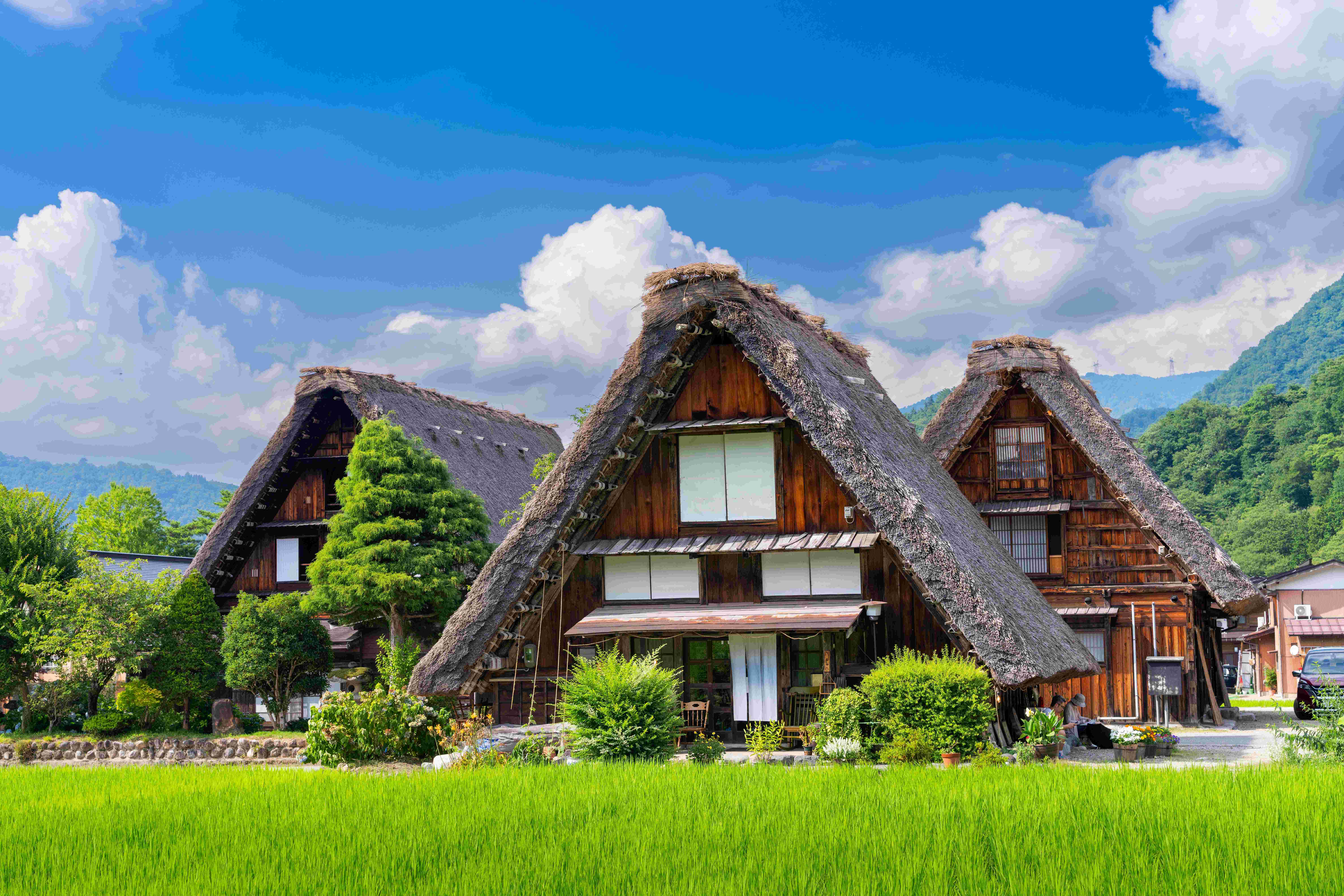 Japan Sakura Shirakawago + Kimono Wearing