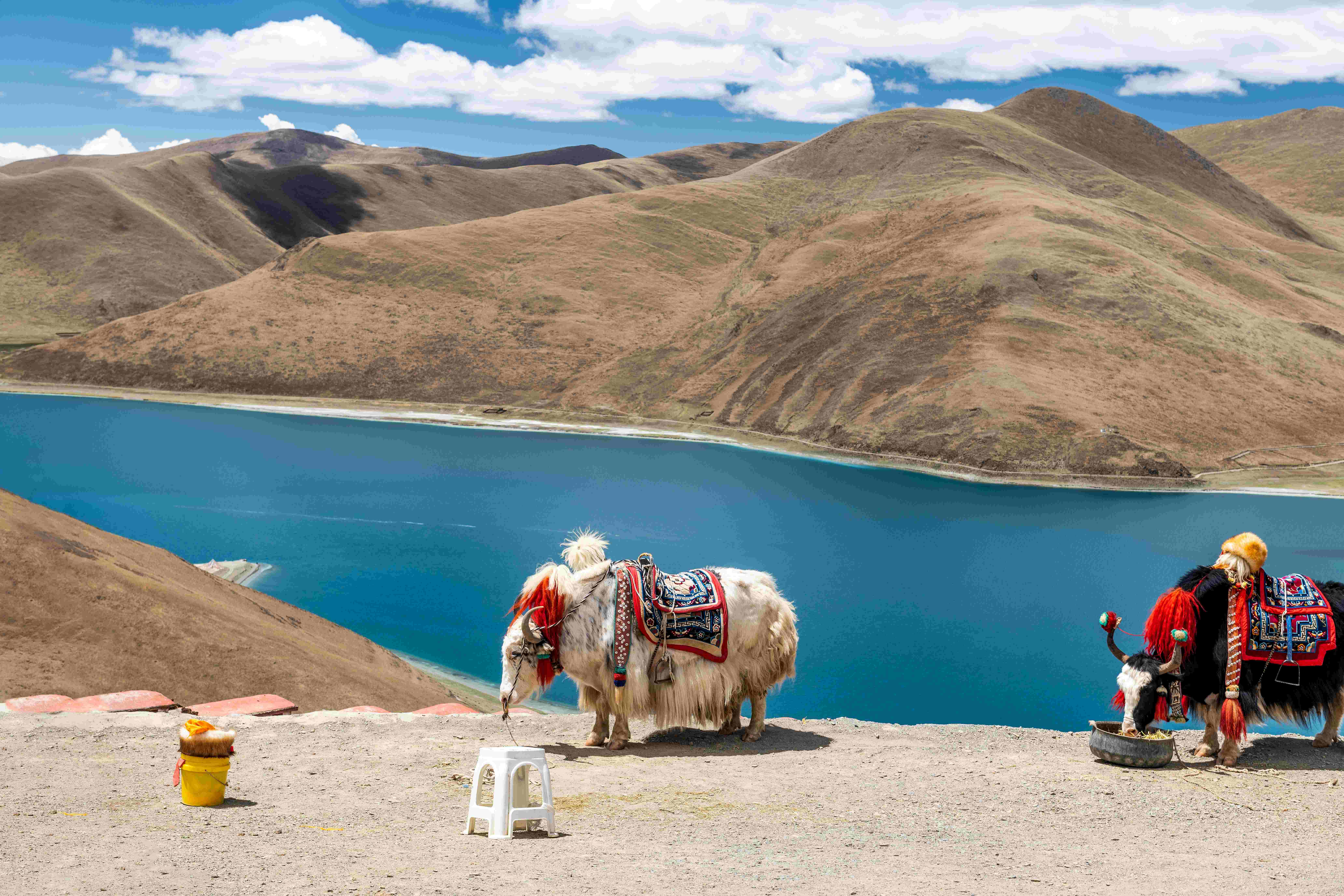 Favorite Tibet + Yamdrok Lake & Potala Palace