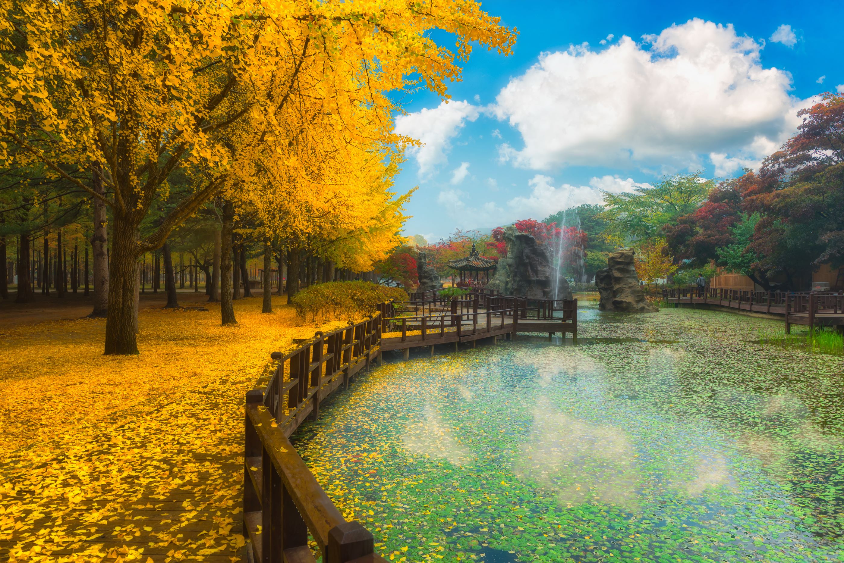Super Sale Korea Nami + Soyanggang Sky Walk & Starfield Library