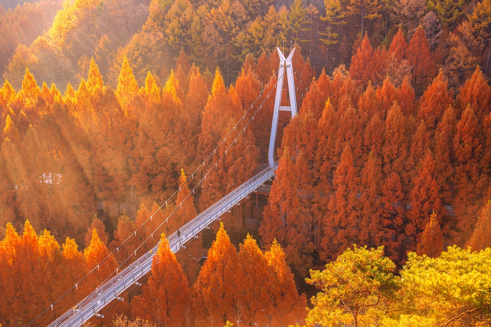 Favorite Korea Autumn + Jangtaesan & Starfield Library