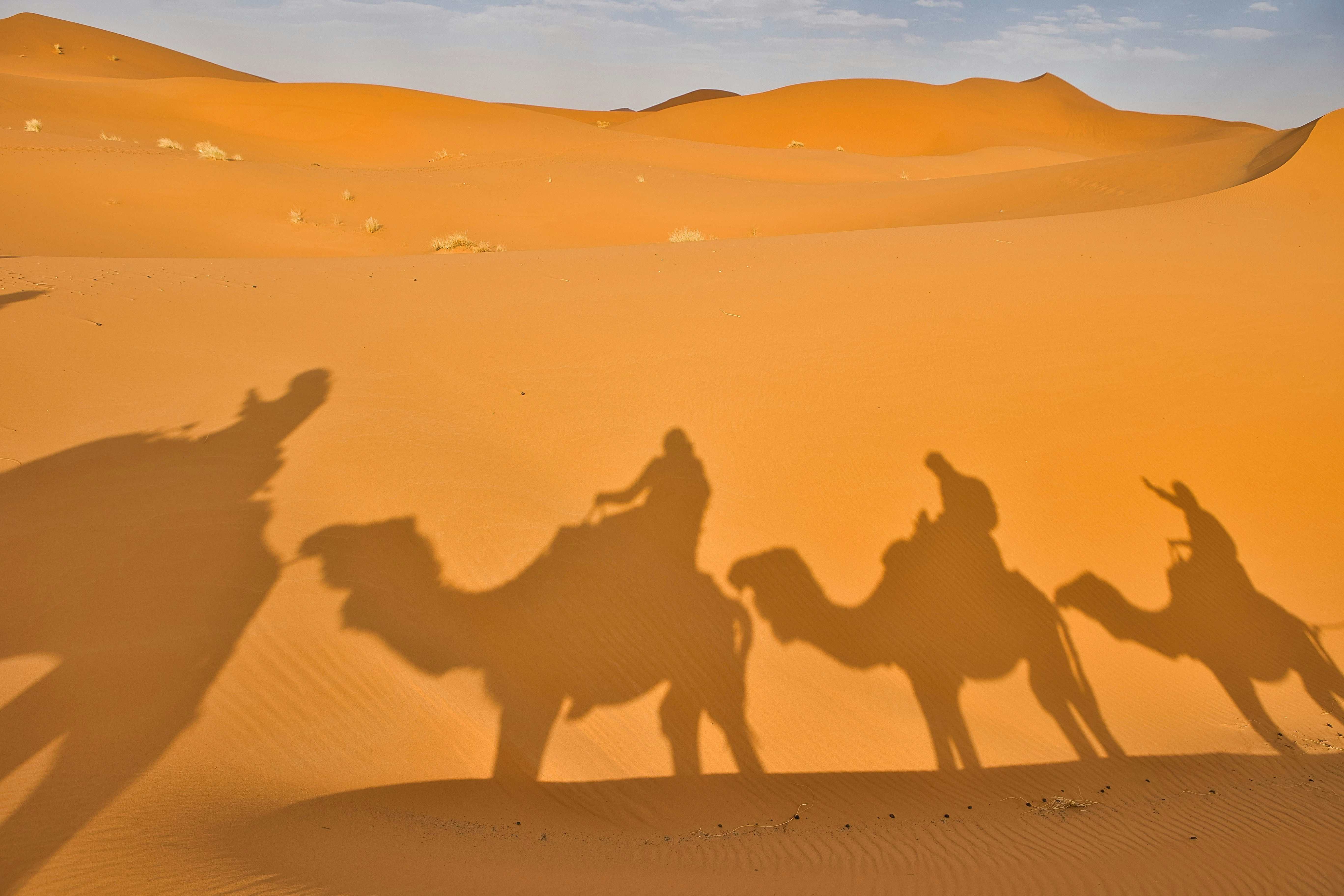 Favorite Land of Pharaoh Egypt Cairo, Luxor & Abu Simbel Red Sea, Nile Cruise & Sahara Desert