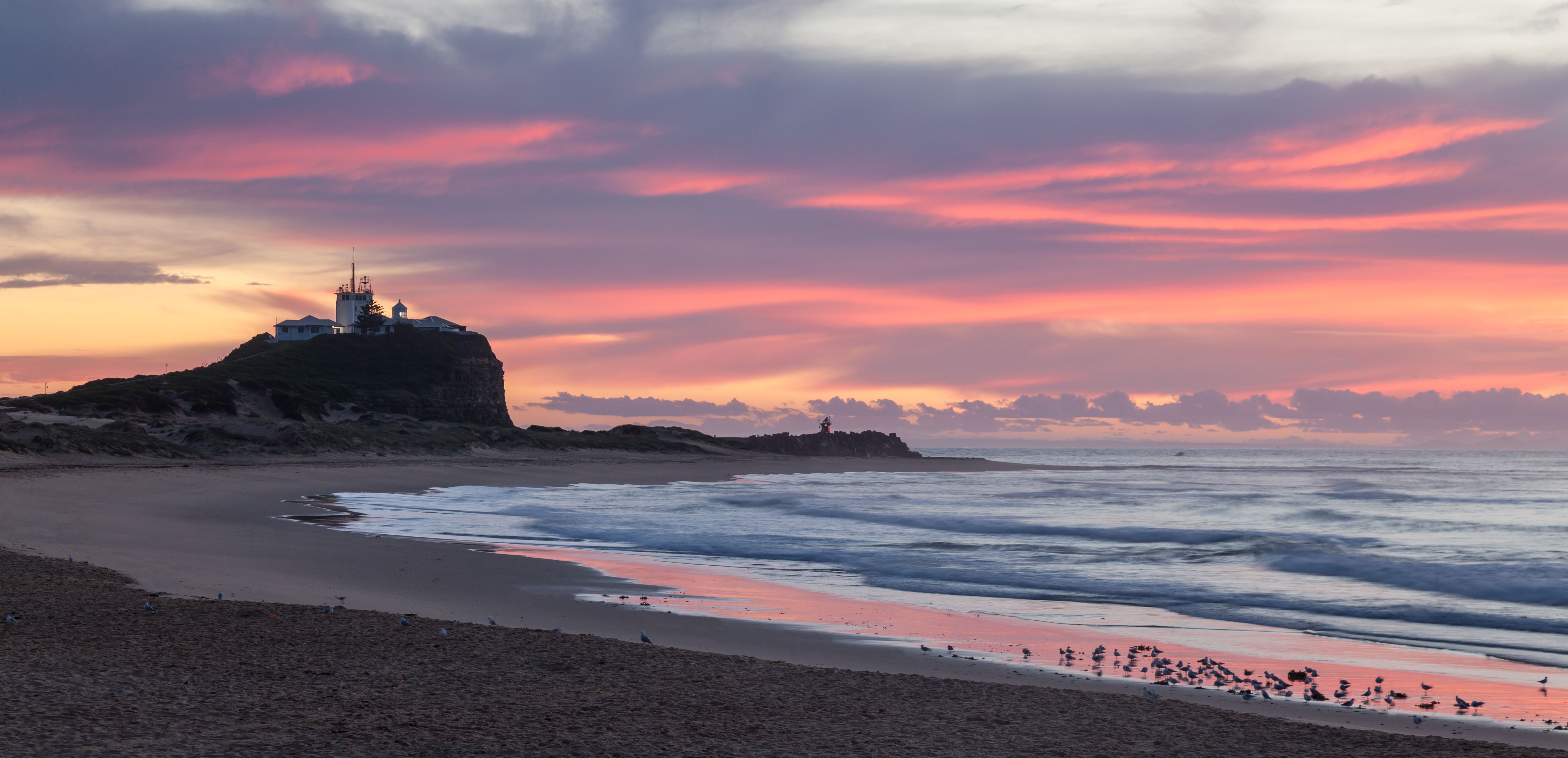 Favorite Australia New South Wales Port Stephens + Newcastle & Dolphin Discovery Cruise
