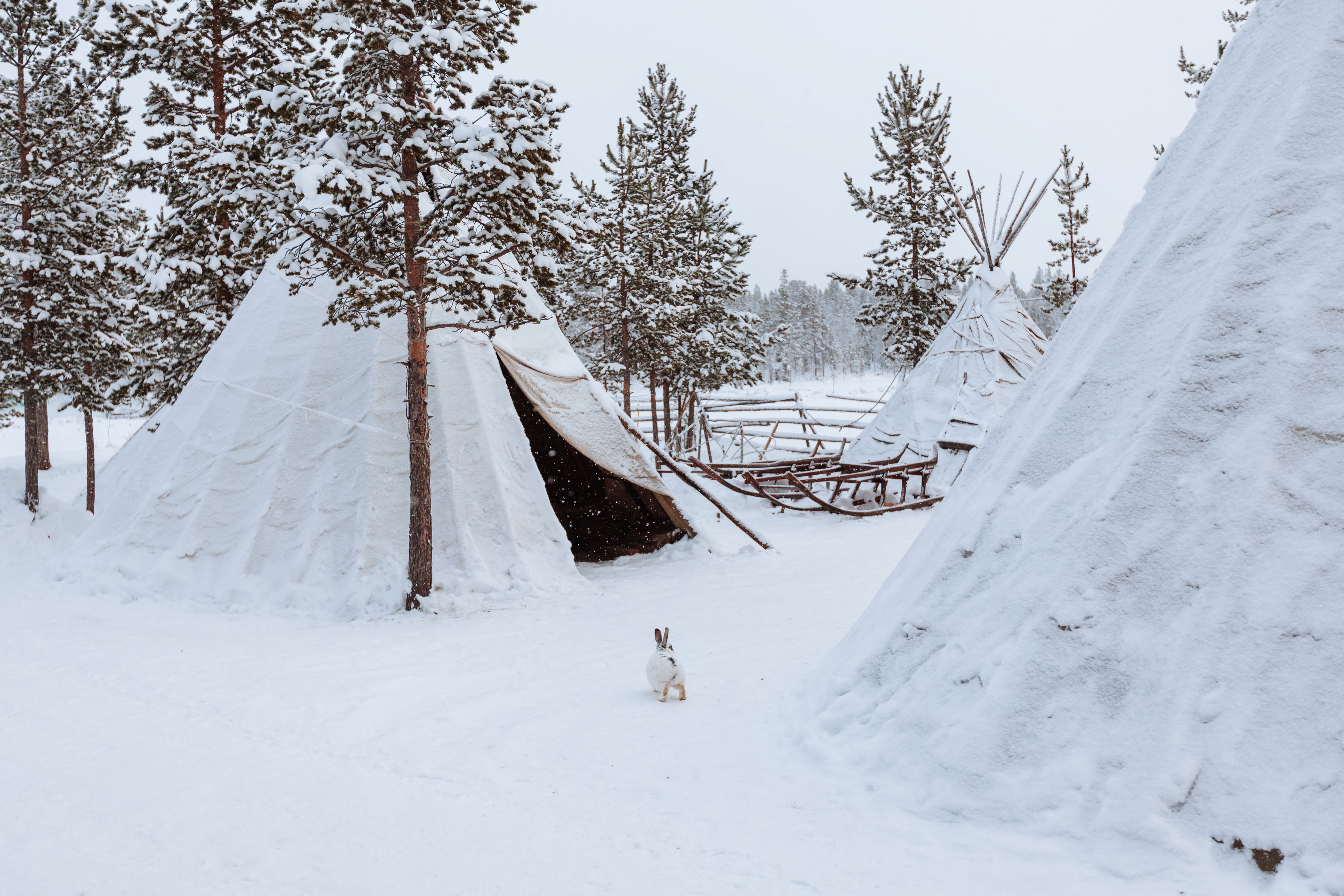 Favorite Russia Land Of The Tsars Moscow + Murmansk & Aurora Hunting